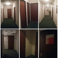 фото из отзыва ID 1629882