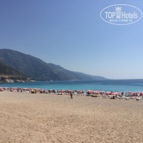 фото из отзыва ID 1629900