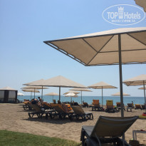 фото из отзыва ID 1629941