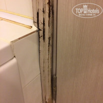 фото из отзыва ID 1629948