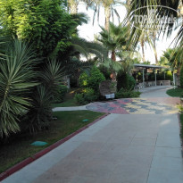 фото из отзыва ID 1629425