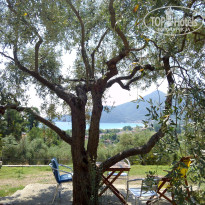 фото из отзыва ID 1627668