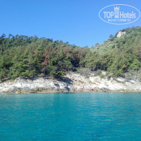 фото из отзыва ID 1627668