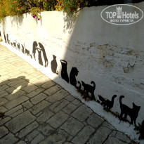 фото из отзыва ID 1627668