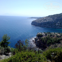 фото из отзыва ID 1627668