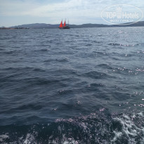 фото из отзыва ID 1628631