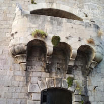 фото из отзыва ID 1628631