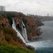 фото из отзыва ID 1620214