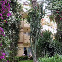 фото из отзыва ID 163077