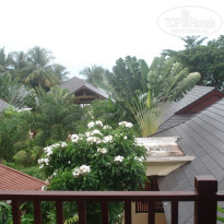 фото из отзыва ID 163461