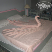 фото из отзыва ID 163567