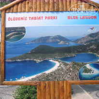 фото из отзыва ID 163579