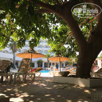 фото из отзыва ID 1630016