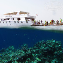 фото из отзыва ID 1630199