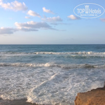 фото из отзыва ID 1630209