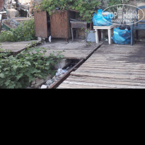 фото из отзыва ID 1630228