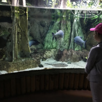 фото из отзыва ID 1630234