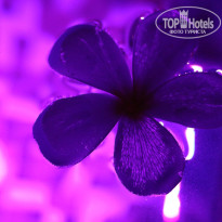 фото из отзыва ID 1630252