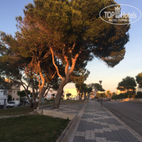 фото из отзыва ID 1630389