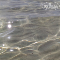 фото из отзыва ID 1630435