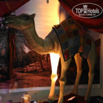 фото из отзыва ID 1630435