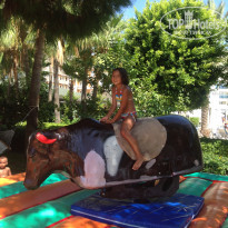 фото из отзыва ID 1630569