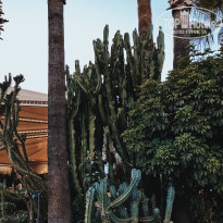 фото из отзыва ID 1630882