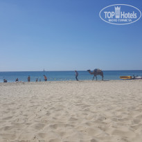 фото из отзыва ID 1630957