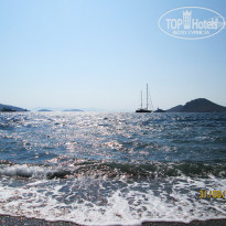 фото из отзыва ID 1630962