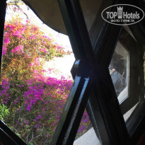 фото из отзыва ID 1631032