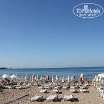 фото из отзыва ID 1631149