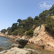 фото из отзыва ID 1630367