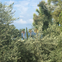 фото из отзыва ID 1631199