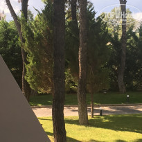 фото из отзыва ID 1631199