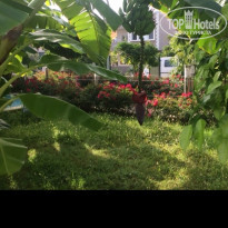 фото из отзыва ID 1631226