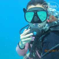 фото из отзыва ID 1631226