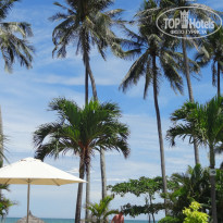 фото из отзыва ID 1631414