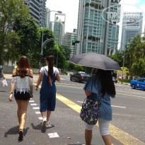 фото из отзыва ID 1631750