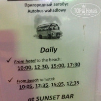 фото из отзыва ID 1631774