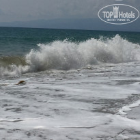 фото из отзыва ID 1631815