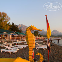 фото из отзыва ID 1631947