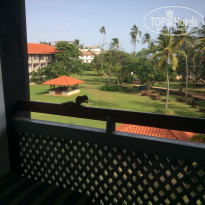 фото из отзыва ID 1631986