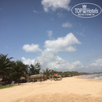 фото из отзыва ID 1631986