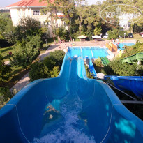 фото из отзыва ID 1632074