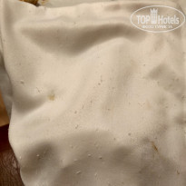 фото из отзыва ID 1632120