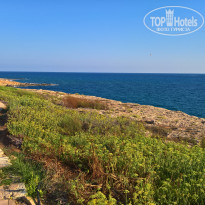 фото из отзыва ID 1632148