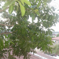 фото из отзыва ID 1632232