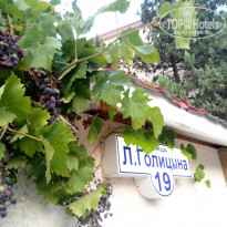 фото из отзыва ID 1632257