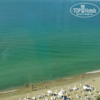 фото из отзыва ID 1632264