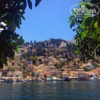 фото из отзыва ID 1632292